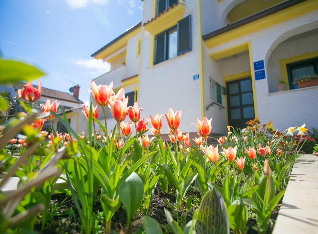 Apartment House Matosevic بوريتش المظهر الخارجي الصورة